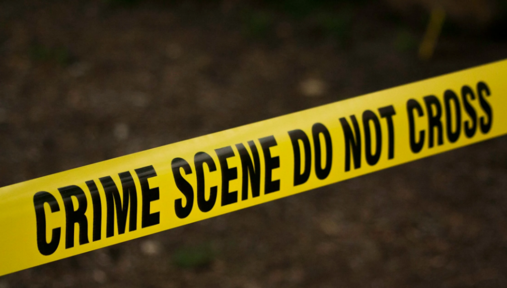 crime_scene_2025.png