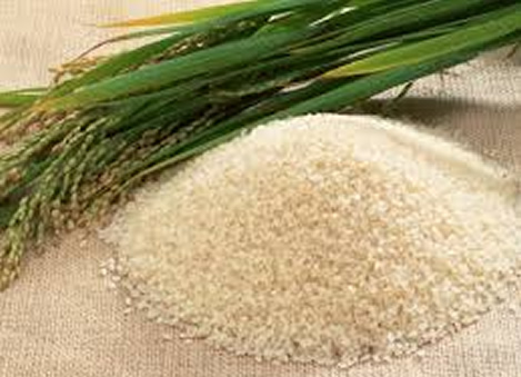 Rice.jpg