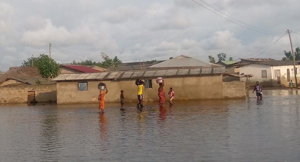 anloga.jpg