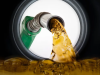 ‘There’s a lot of attention on diesel at the moment’ – NPA explains supply pressures, impact on prices