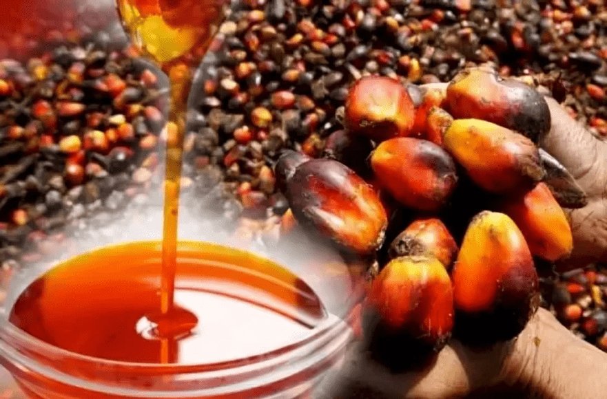 palm-oil-meeting-696x504-1.png