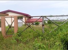 Weeds take over multi-million 1D1F starch factory in Assin South