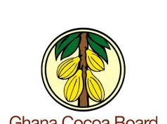 COCOBOD accuses licensed cocoa buyers of funding smuggled Ivory Coast beans
