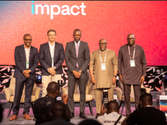 Interconnected fintech systems will drive Africa’s digital finance growth — MMFL CEO
