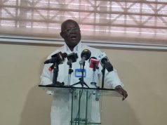 AIB Ghana report links Tema microlight crash to engine failure