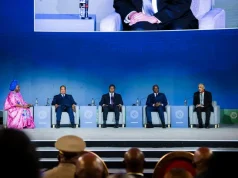 African Leaders Push For More Private Capital, Energy Investment At AfDB Annual Meetings
