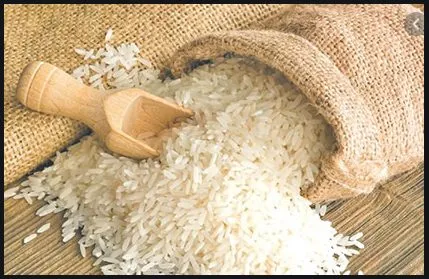 rice-nice.jpg