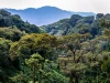 African forest investment takes centre stage at Lagos business roundtable