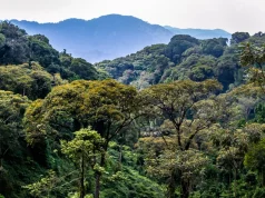 AFF pilot projects show nature-based solutions can restore ecosystems and improve livelihoods