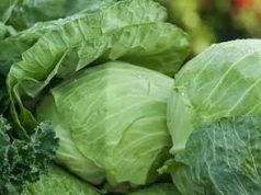 New GSA study finds high pesticide non-compliance in cabbages