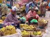 Allegations of chemical ripening hurt banana trade at Suame Market