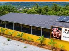 AngloGold Ashanti Obuasi Mine invests in livelihood diversification with piggery centre