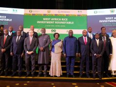 Africa must turn gas wealth into prosperity – Leaders declare