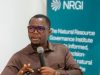 NRGI warns corruption risks threaten Ghana’s lithium benefits