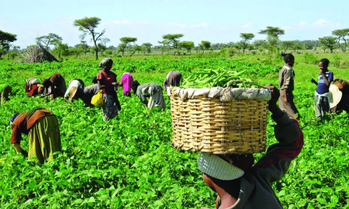 Farmers-day-Ghana-707x424-1.png