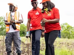 Telecel Ghana Plants 10,000 Trees, Pushing Reforestation Total to 43,000 Trees