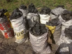 Charcoal emerges as Ghana’s top inflation driver with 50% price surge – Statistician