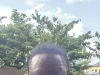 Police kill two suspected carjackers in Kumasi operation, arrest one gang member