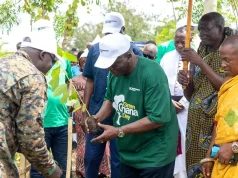 Karpowership leads community tree planting exercise in Essikado