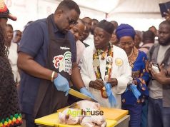 Poultry day 2026 set to champion local poultry production and food security