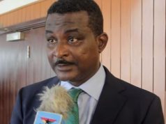 Government has stabilised economy, jobs will follow — Ricketts-Hagan