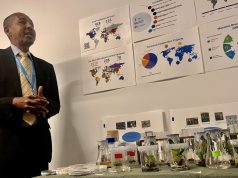 Ghana can access more crop seedlings to survive dry spells – Expert