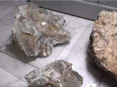 Atlantic Lithium: A Missed Strategic Opportunity