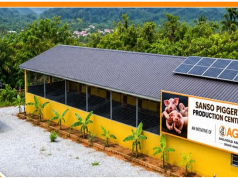 AGA invests GH¢2.86m in piggery centre
