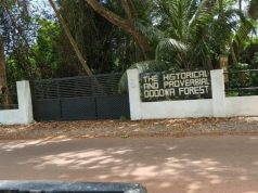 Residents protest destruction of sacred Dodowa Forest for interim market – Ghana Business News