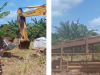 When gold threatens green gold: Illegal mining’s toll on cocoa and cashew farming in Sunyani