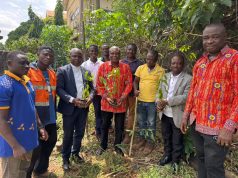 ECG Ashanti West plants trees to boost greenery in Kumasi