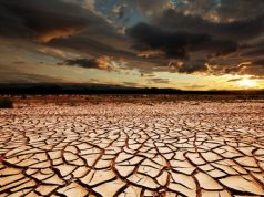 The planet is no longer negotiating – EPA issues stark warning on climate crisis