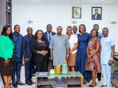 Ghana Gas pays courtesy call on NPA CEO