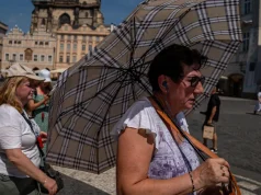 Heatwave breaks records in Germany, Denmark and Czech Republic