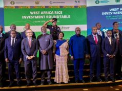 Vice President calls for investment in rice sector to boost food security
