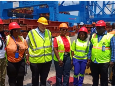 Deputy Transport Minister praises MPS investment at Tema Port