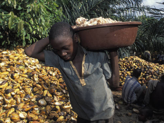 GAWU calls for strict enforcement of child labour Laws in cocoa-growing communities