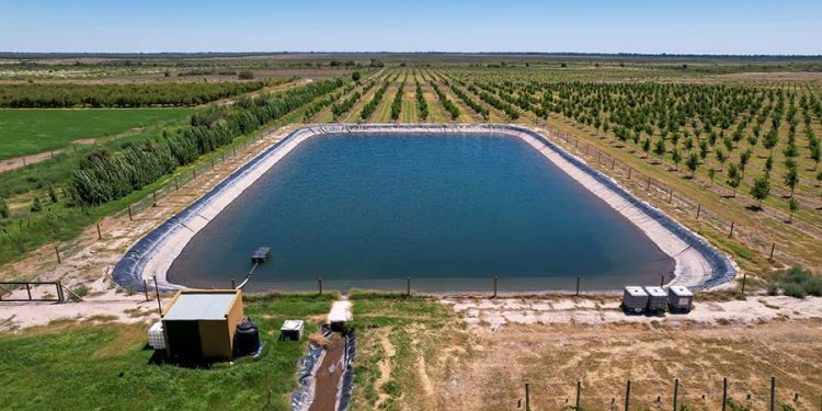 irrigation-1-750x375-1.jpg