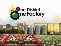 Scrap 24-Hour economy, return to 1D1F – Oppong Nkrumah tells government