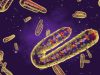 Uganda finds isolated Marburg virus case, Africa CDC says