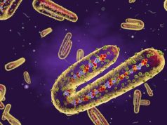 Uganda finds isolated Marburg virus case, Africa CDC says