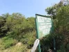 Cabinet revokes E.I. 144, restores Achimota Forest Reserve to protected status