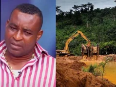 Wontumi jailed 20 years for illegal mining