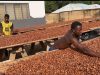 COCOBOD releases GH¢2.6m to LBCs to settle cocoa farmers