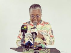 Ministry of Fisheries clears GH¢174m in premix fuel debt – Minister