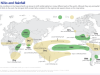 Ghana: After the floods comes Super El Niño and potential droughts