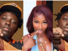 Paradise Levels Serious Allegations Against Ex-Girlfriend Adwoa Tee During TikTok Live