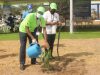 Ghana plants 1.3 million trees as Rainforest Alliance report highlights growing regenerative