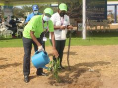 Ghana plants 1.3 million trees as Rainforest Alliance report highlights growing regenerative