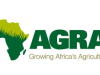 Count on youth to secure Africa’s agricultural future – AGRA